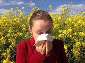Le rhume des foins peut devenir vite source de stress