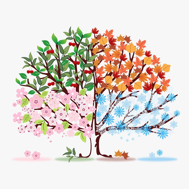 Les saisons représentent un cycle mais tout comme vos cellules, les arbres renaissent chaque année