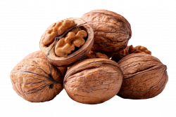 Les noix sont riches en omega 3