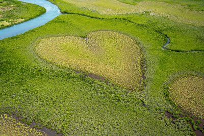 Observer la nature à partir du coeur vous donne de nombreuses informations